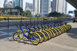[6分钟教程]石家庄市工厂招聘信息_哔哩哔哩-3